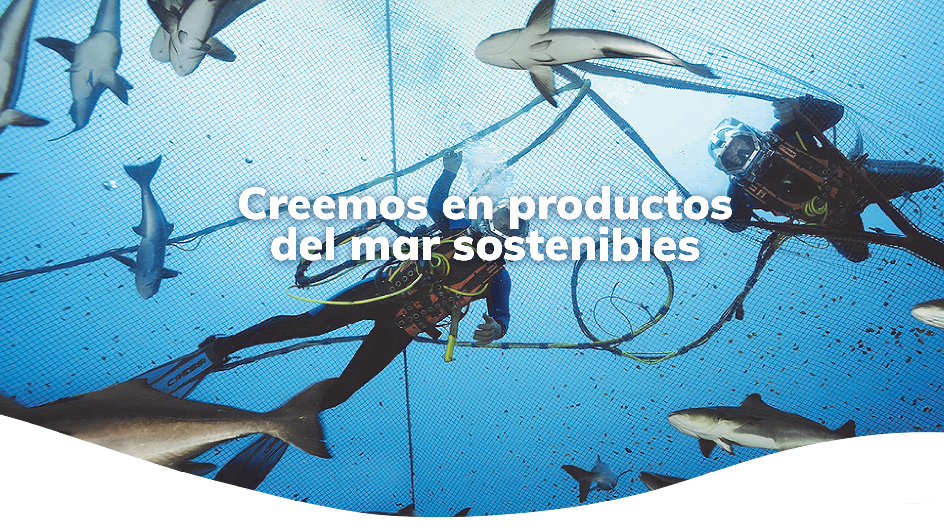 Creemos en productos del mar sostenibles